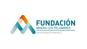 Fundacion Minera LOS Pelambres