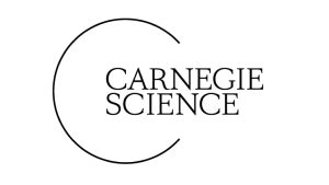 Logo Carnegie