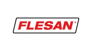 Logo Flesan